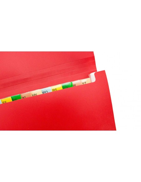 Organizador LEMEK