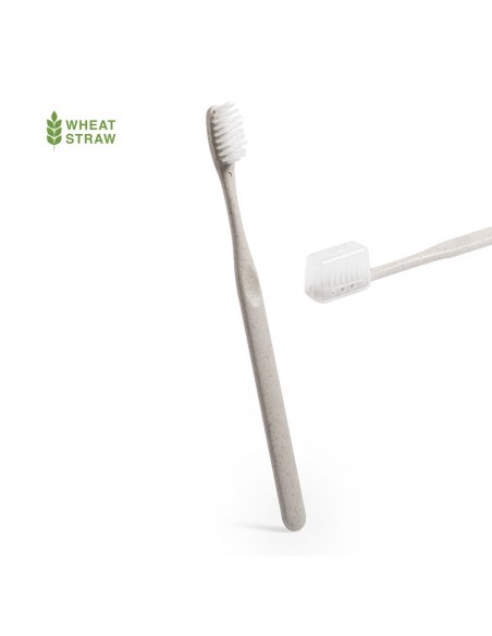 Cepillo Dientes Natural