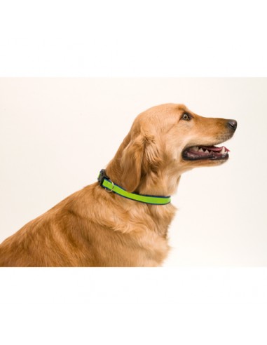 COLLAR REFLECTANTE MUTTLEY